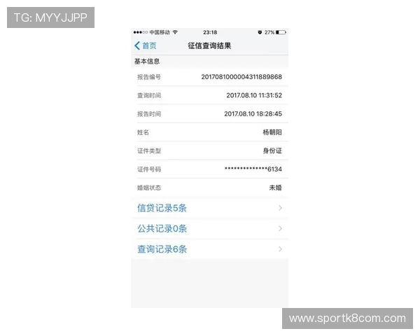 凯发体育平台多种支付方式支持与资金快速到账技巧